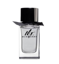 Mr Burberry - Eau de Toilette